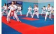 Татамі Ластівчин хвіст 30 мм TIA-SPORT