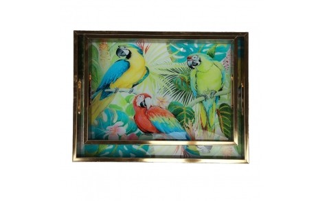 Набор подносов из 2 штук Lefard Попугаи 40*30 см 18913-003