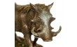 Статуетка Veronese Дикий кабан 14 х 20 см 76638