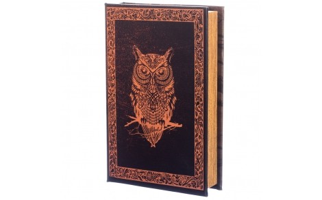 Книга-сейф Veronese Сова 26х17х5 см 014UE