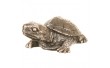 Статуетка Veronese Черепаха 8х6 см 77141A1