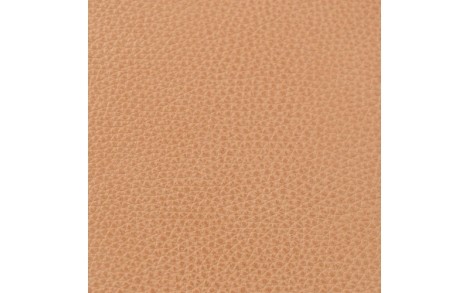 CALIFORNIA BEIGE