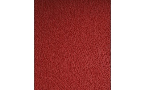 ENERGY RED