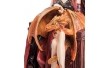 Статуэтка Veronese Дружба с Драконом 21х12,5х10,5 см фигурка полистоун 1901913