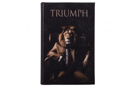 Скринька книга сейф металева з ключами Тріумф 26х17х5 см 0508-012 обкладинка шкірозамінник