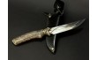 Полювання на подарунок NB Art Snake 22K55 у випадку.