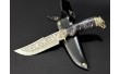 Полювання на подарунок NB Art Eagle 22k69 у шкіряному випадку