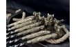 Набір шампусів Lux NB Art Animals з чашками у дерев’яному випадку 12 предметів 47330182