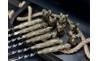 Набір шампусів Lux NB Art Animals з чашками у дерев’яному випадку 12 предметів 47330182